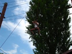 1211985210_img_0341.jpg