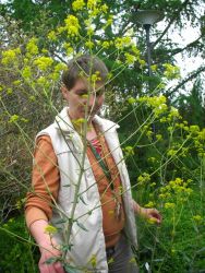 Třídní výlet  KVARTA - Botanická zahrada