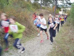 Přespolní běh 1.10.2008