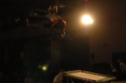 1228216185_228.jpg