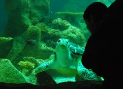 1228812885_dsc_0191.jpg