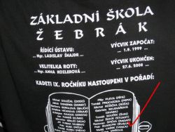 1233555613_28.jpg