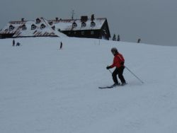 1235974541_img_1717.jpg