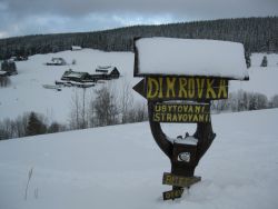 1235974717_img_1754.jpg