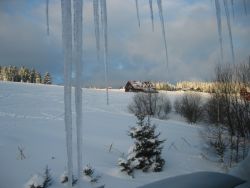 1235974729_img_1765.jpg