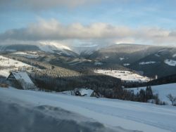1235974741_img_1770.jpg