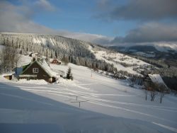 1235974751_img_1771.jpg
