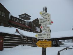 1235974822_img_1805.jpg