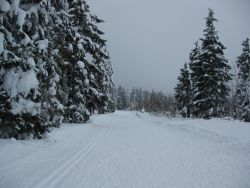 1235974832_img_1807.jpg