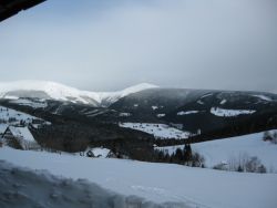 1235974887_img_1847.jpg