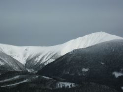 1235974902_img_1853.jpg